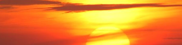 Hospice: What to Expect During Your First Week image