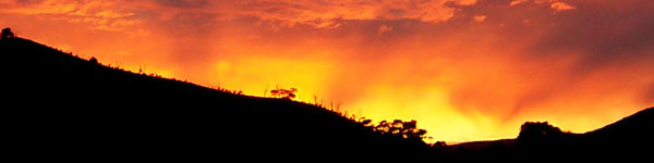 How to Know When Your Loved One Needs a Memory Care Community image