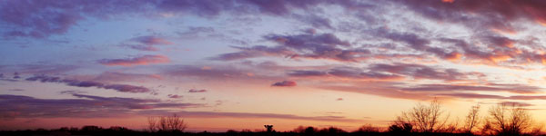 Senior Living Versus Board and Care image