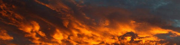 Seniors and Their Dietary Needs image