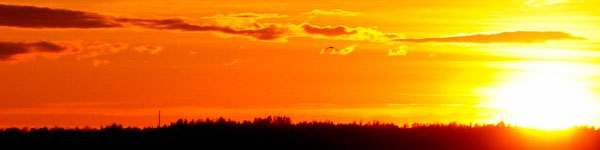 Solano County Assisted Living Pricing Guide Q2 2019 image