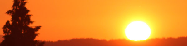 The Partnership Between SRA's and Our Communities image