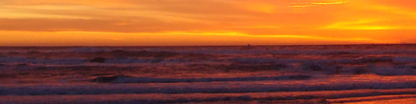 What is a Community Fee image