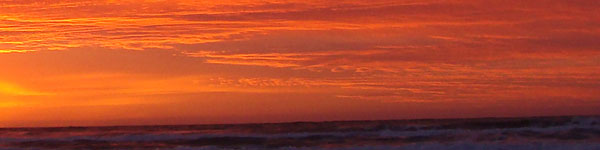 What is Aid and Attendance and How to Apply image