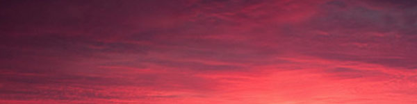 What Is Dementia? image